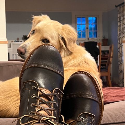Truman Cap Toe Boot in Horween Java Waxed Flesh