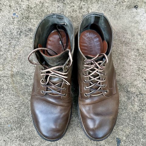 Viberg Boondocker in Maryam Olive TPR Horsebutt