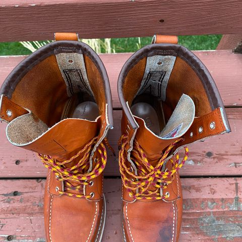 Red Wing 8-Inch Classic Moc in S.B. Foot Oro Legacy