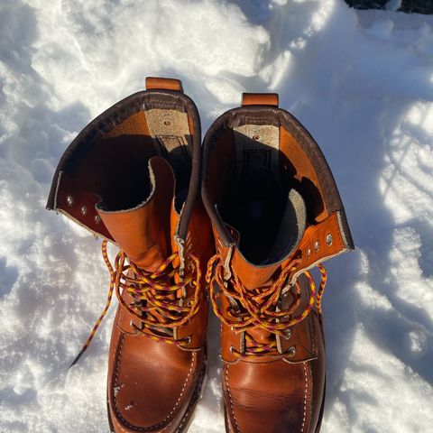 Red Wing 8-Inch Classic Moc in S.B. Foot Oro Legacy