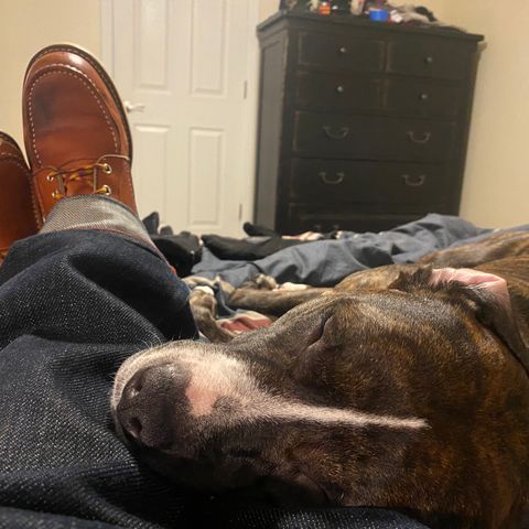 Red Wing 8-Inch Classic Moc in S.B. Foot Oro Legacy