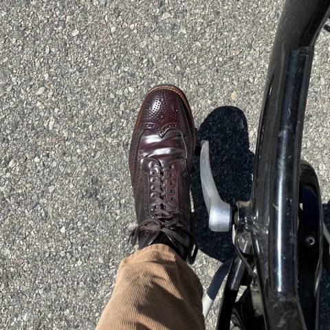 Alden Wingtip Boot in Horween Color 8 Shell Cordovan