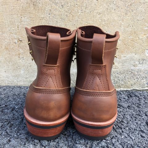 Nicks Robert in Seidel 1964 Brown