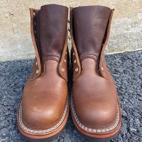 Nicks Robert in Seidel 1964 Brown