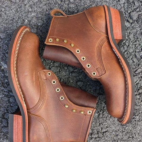 Nicks Robert in Seidel 1964 Brown