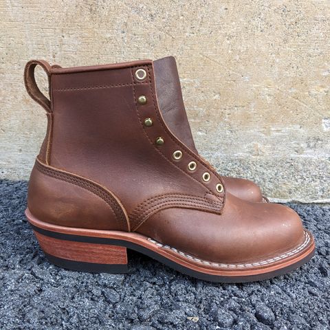 Nicks Robert in Seidel 1964 Brown