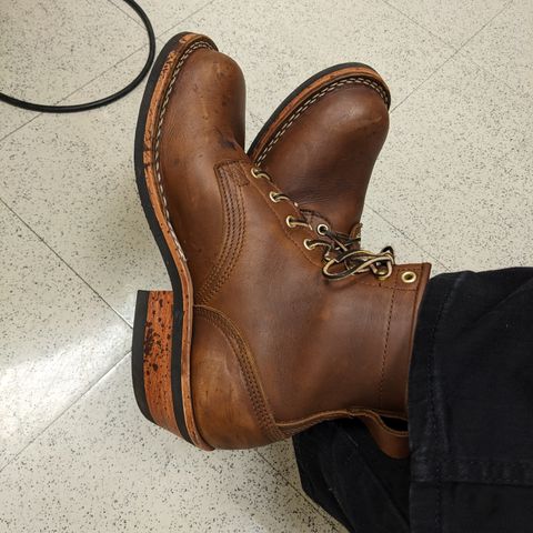 Nicks Robert in Seidel 1964 Brown