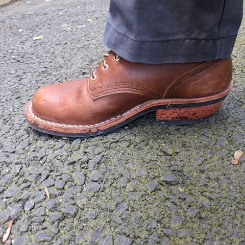 Nicks Robert in Seidel 1964 Brown