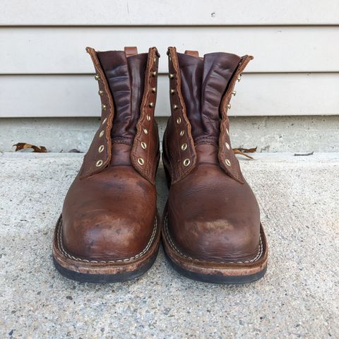 Nicks Robert in Seidel 1964 Brown