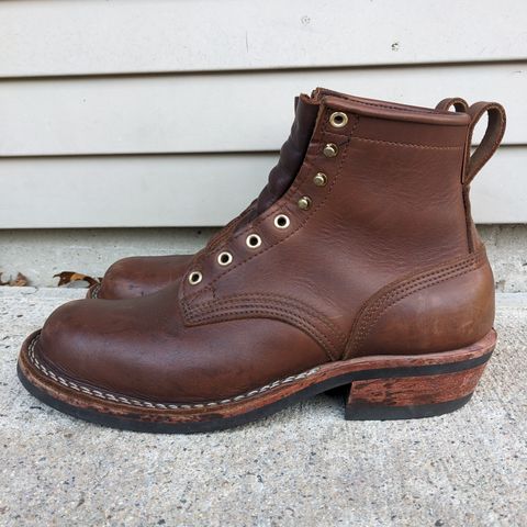 Nicks Robert in Seidel 1964 Brown