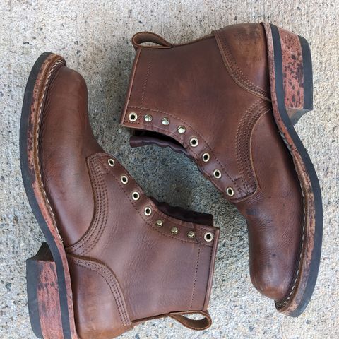 Nicks Robert in Seidel 1964 Brown