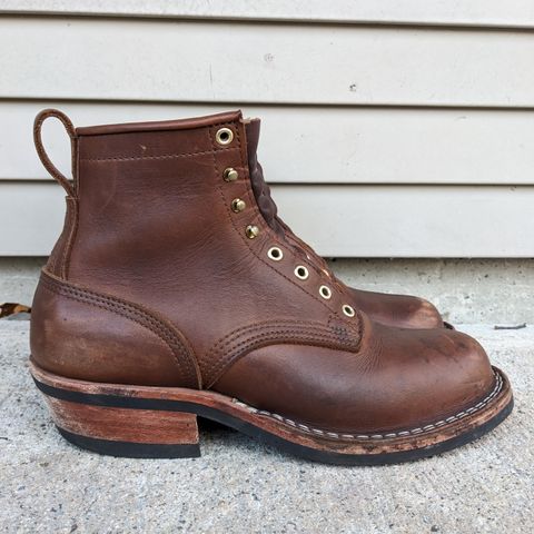 Nicks Robert in Seidel 1964 Brown
