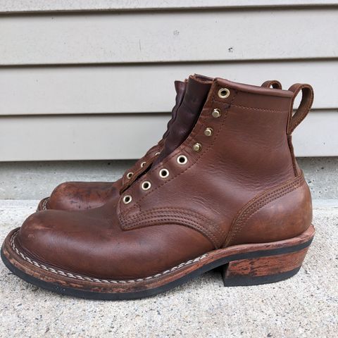 Nicks Robert in Seidel 1964 Brown
