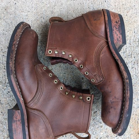 Nicks Robert in Seidel 1964 Brown
