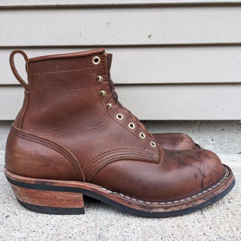 Nicks Robert in Seidel 1964 Brown