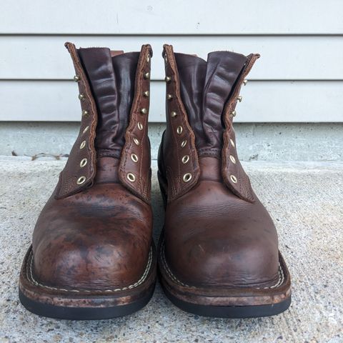 Nicks Robert in Seidel 1964 Brown
