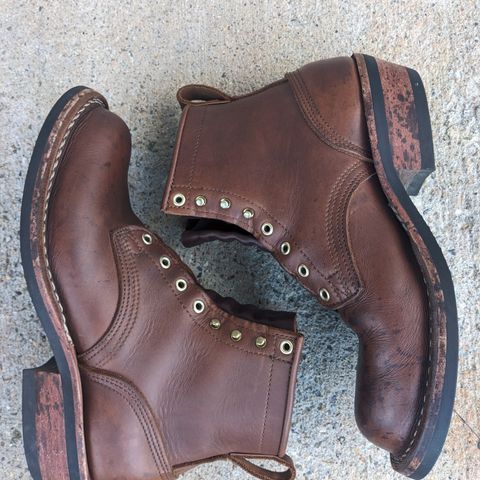 Nicks Robert in Seidel 1964 Brown