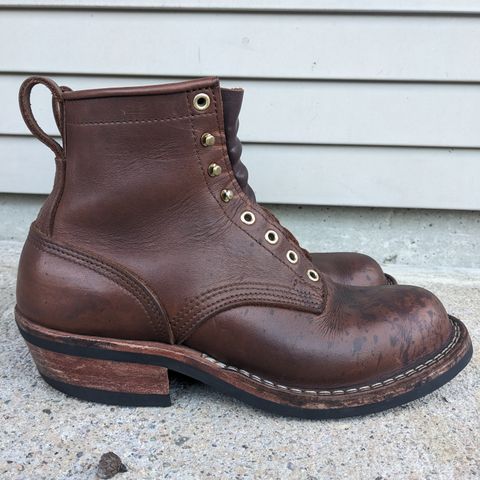 Nicks Robert in Seidel 1964 Brown