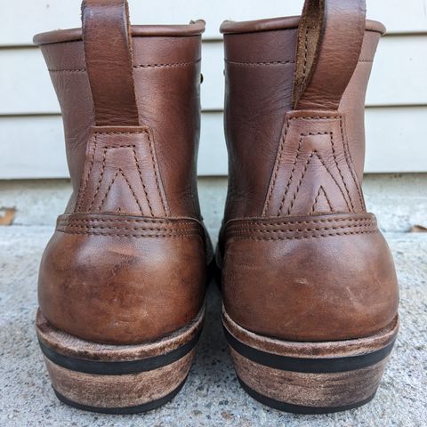 Nicks Robert in Seidel 1964 Brown
