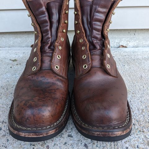 Nicks Robert in Seidel 1964 Brown