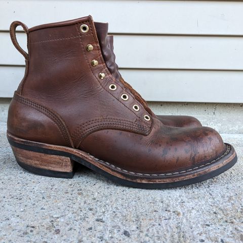 Nicks Robert in Seidel 1964 Brown