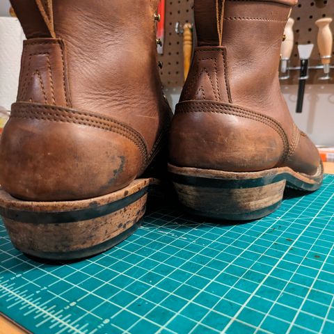 Nicks Robert in Seidel 1964 Brown