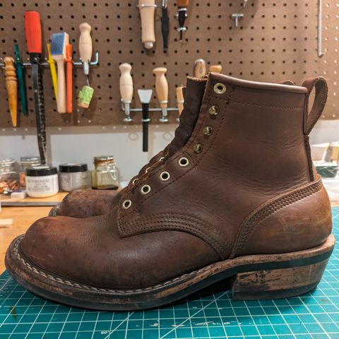 Nicks Robert in Seidel 1964 Brown