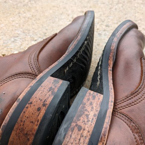 Nicks Robert in Seidel 1964 Brown