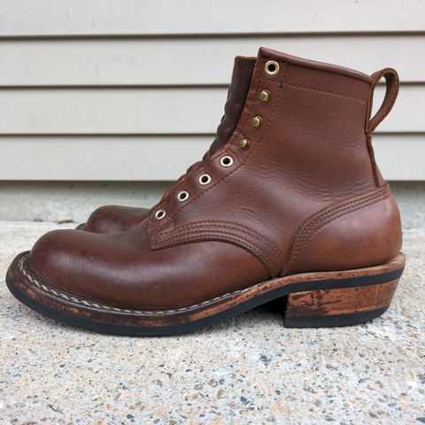 Nicks Robert in Seidel 1964 Brown