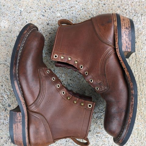 Nicks Robert in Seidel 1964 Brown
