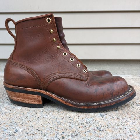Nicks Robert in Seidel 1964 Brown