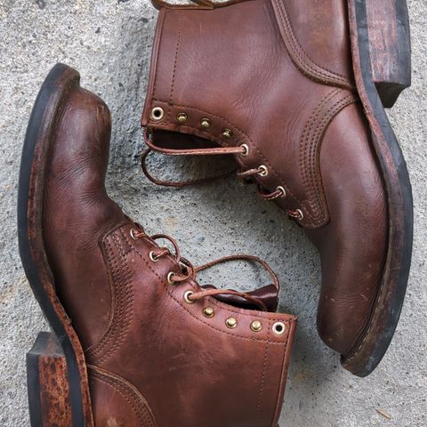 Nicks Robert in Seidel 1964 Brown