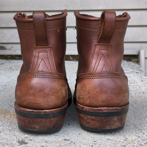 Nicks Robert in Seidel 1964 Brown