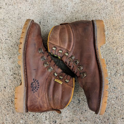 Jim Green Razorback in Fudge Crazy Horse