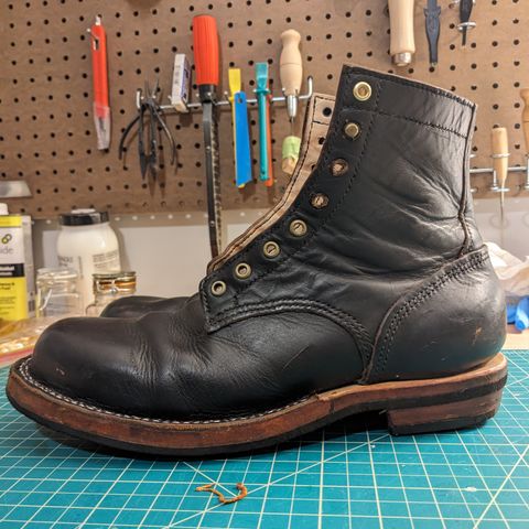 DIY Unknown Model in S.B. Foot Black Prairie
