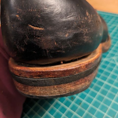 DIY Unknown Model in S.B. Foot Black Prairie