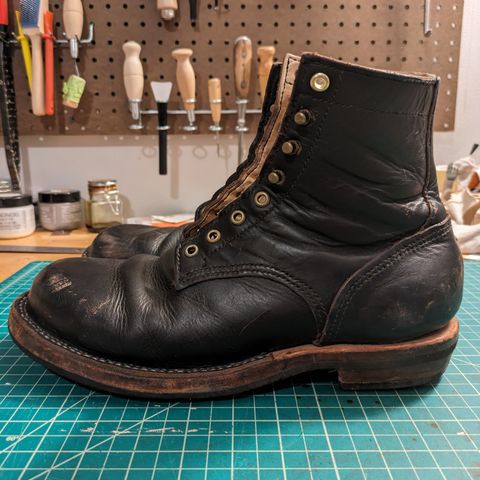 DIY Unknown Model in S.B. Foot Black Prairie