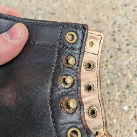 DIY Unknown Model in S.B. Foot Black Prairie