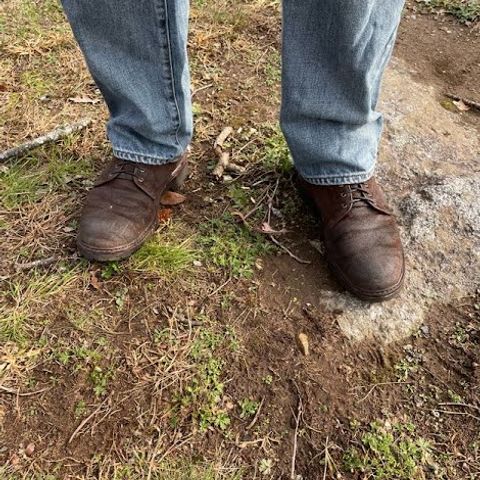 Allen Edmonds Higgins Mill in Snuff Brown Suede
