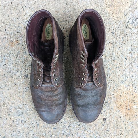 Allen Edmonds Higgins Mill in Snuff Brown Suede