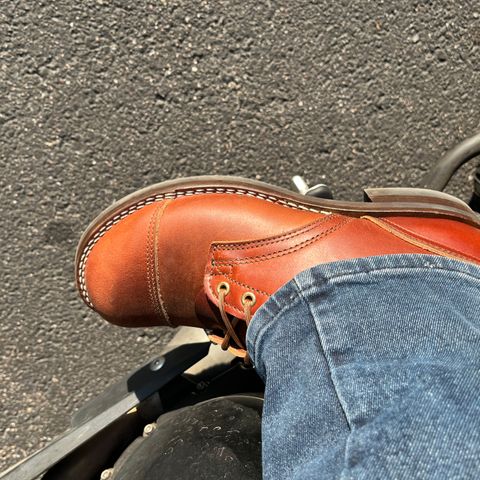 Nicks MTO in Seidel Brown Double Shot