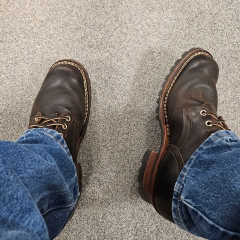 Nicks Urban Logger in Horween Brown Waxed Flesh