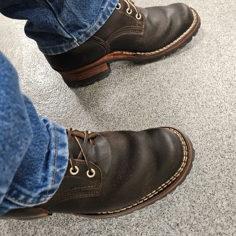 Nicks Urban Logger in Horween Brown Waxed Flesh
