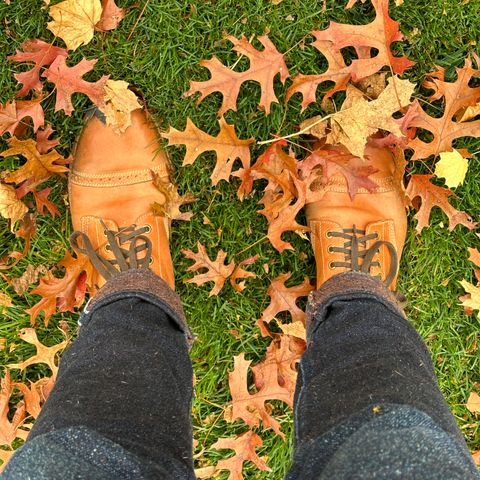 Oak Street Bootmakers Field Boot in Maryam Natural Horsebutt