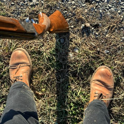 Oak Street Bootmakers Field Boot in Maryam Natural Horsebutt