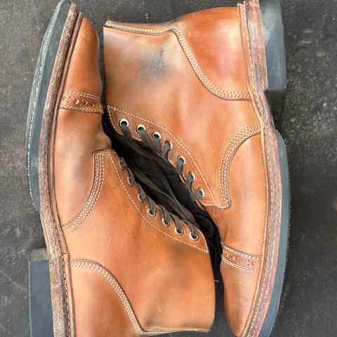 Oak Street Bootmakers Field Boot in Maryam Natural Horsebutt