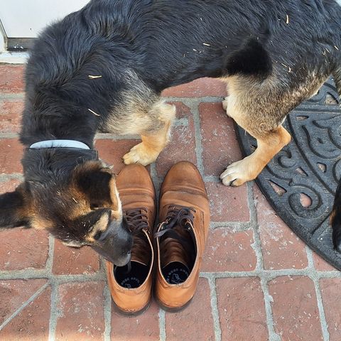 Thursday Captain in Horween Natural Chromexcel