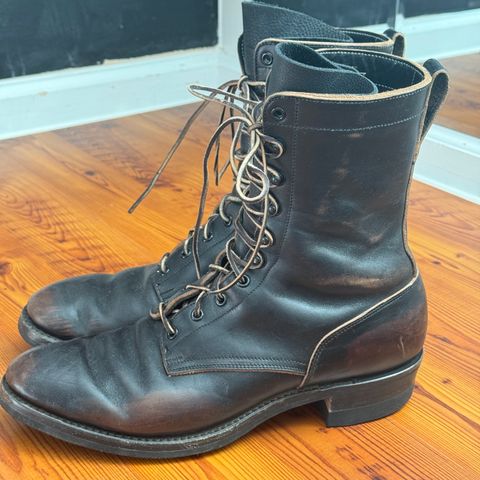 Rolling Dub Trio Griffin 8.5" Plain Toe Boots in Maryam Black Horsebutt