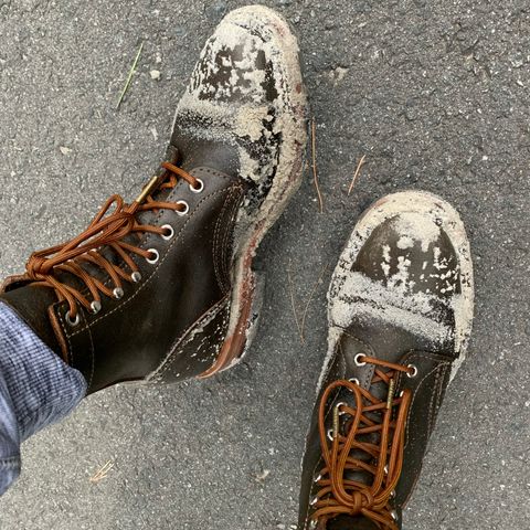 View photo of White's MP-Sherman Plain Toe in Horween Olive Waxed Flesh