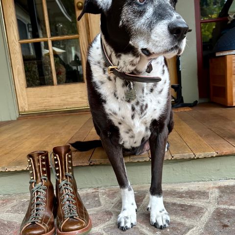 Flame Panda Monkey Boot in Shinki Olive Oiled Horsebutt